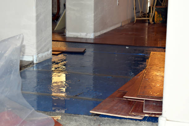 Professional Water Damage Restoration technician working in Davis, SD